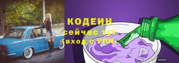 ALPHA PVP Каменка