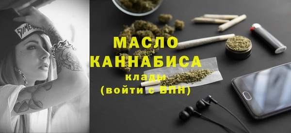 ALPHA PVP Каменка