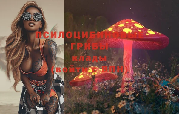 хмурый Каменногорск