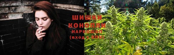 хмурый Каменногорск