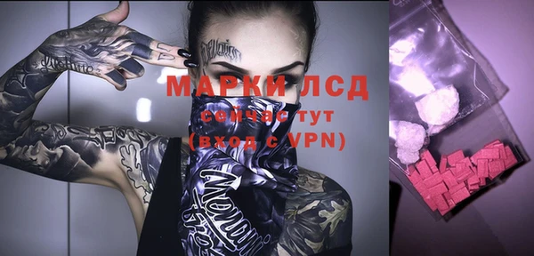 ALPHA PVP Каменка