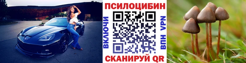 Купить закладки  Выборг  Галлюциногенные грибы Psilocybe 