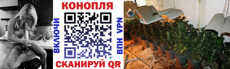 Каннабис THC 21%  Купить где  Выборг 
